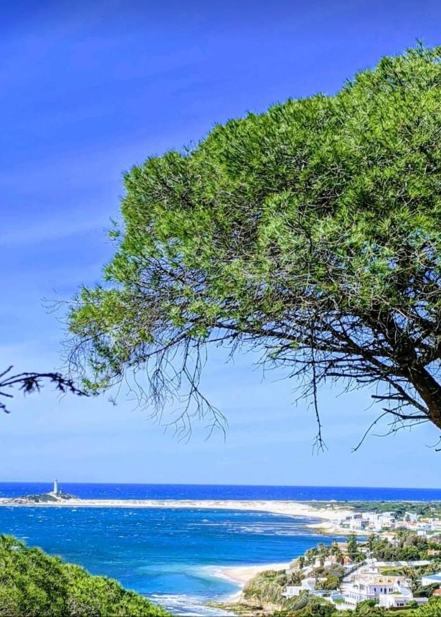 Finca El Abuelo Manuel Vejer de la Frontera Bagian luar foto